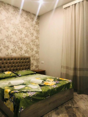 1 BDR Apartment in Yerevan,Centre